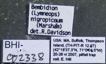 Media type: image;   Entomology 602220 Aspect: labels